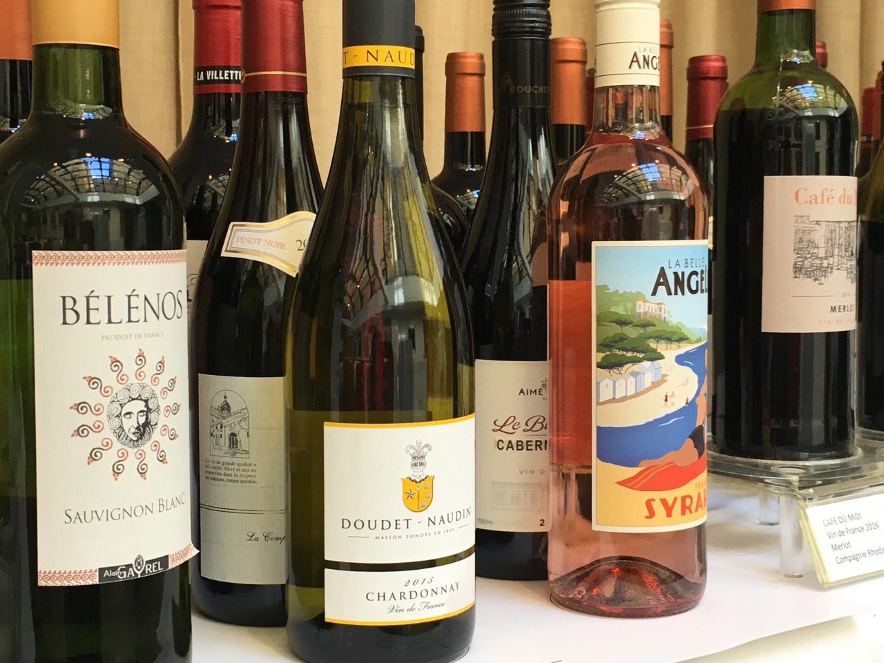 Anivin_presentation_VDF