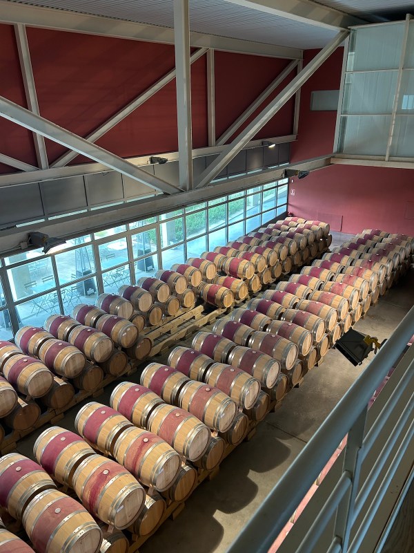 Barrel room at Roda, Rioja